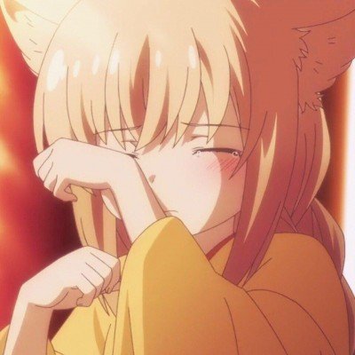 美第一夫人祸从口出